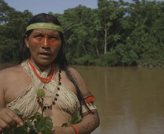 Spears from all sides FIFAC