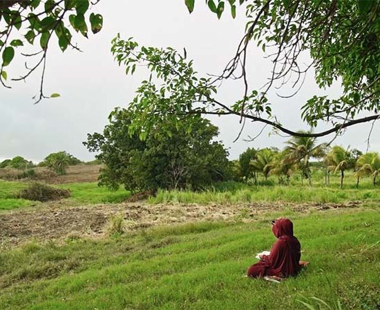 Tournés vers la Mecque FIFAC
