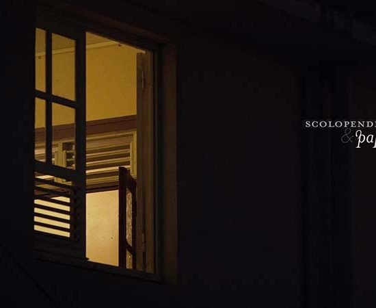 scolopendres-et-papillons FIFAC