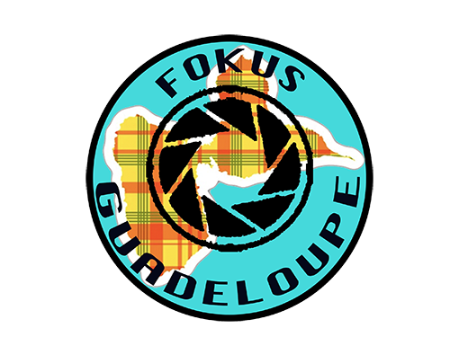 Fokus-GuadeloupePapillonGOOD