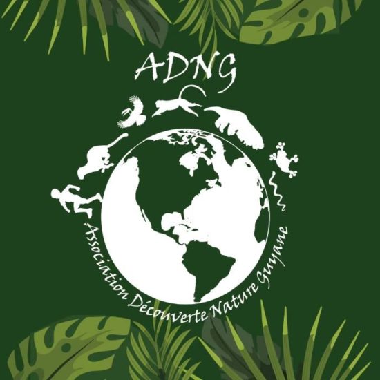 ADNG